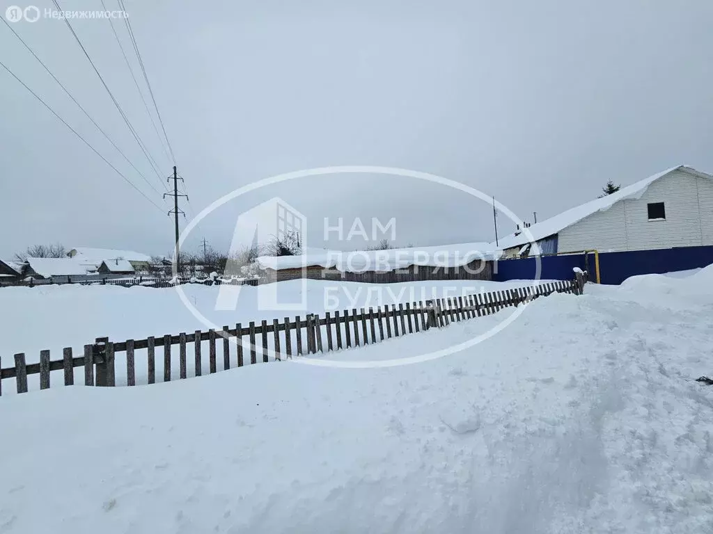 Участок в Чайковский городской округ, село Фоки (3.32 м) - Фото 2