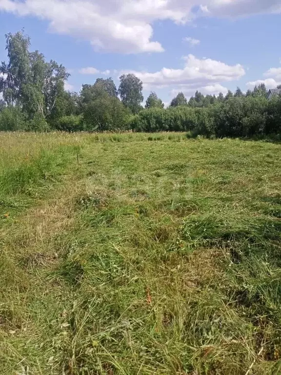 Участок в Курганская область, Шадринск Тюменская ул. (10.6 сот.) - Фото 1