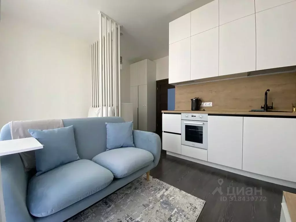 Студия Санкт-Петербург просп. Ветеранов, 196 (25.0 м) - Фото 0