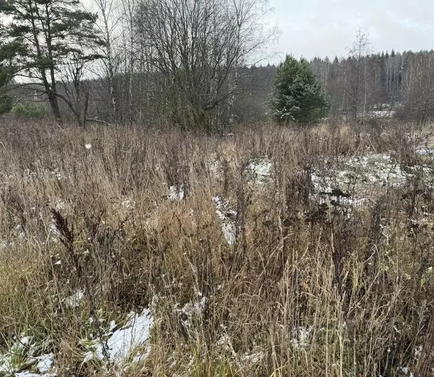 Участок в Московская область, Богородский городской округ, д. Соколово ... - Фото 0