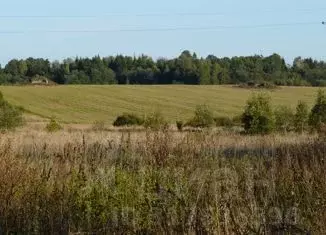 Участок в Тверская область, Зубцовский муниципальный округ, д. Юркино ... - Фото 0