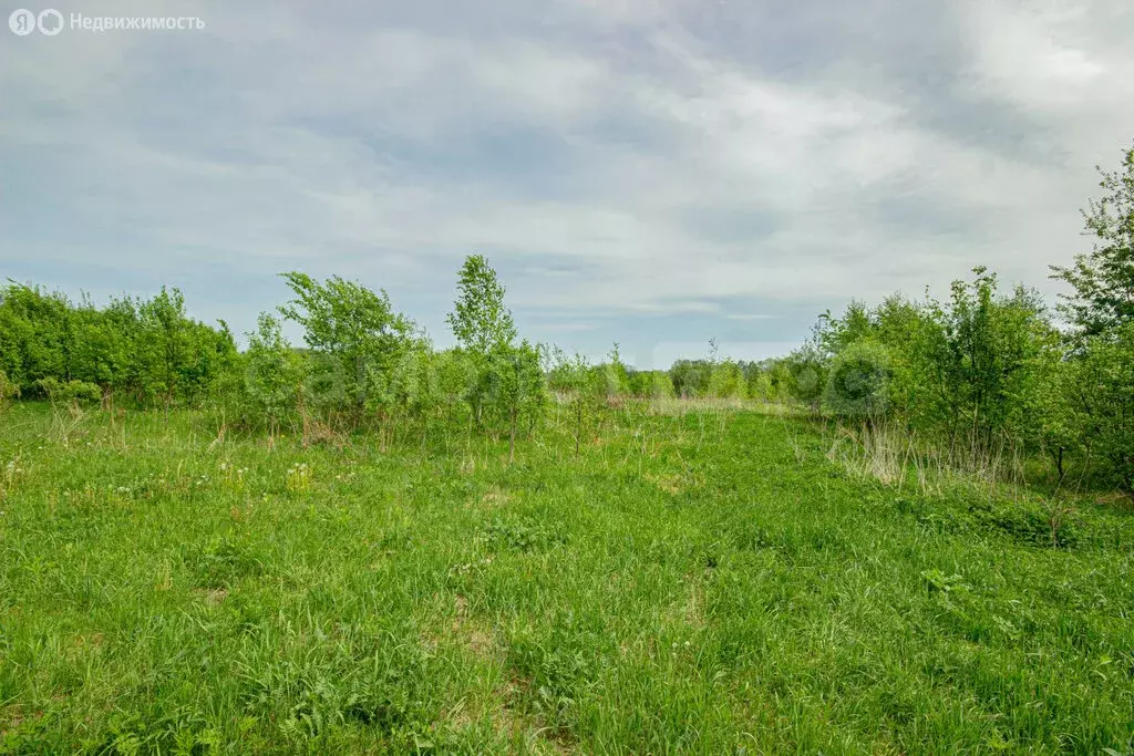 Участок в деревня Устье, Заречная улица, 4 (15 м) - Фото 2