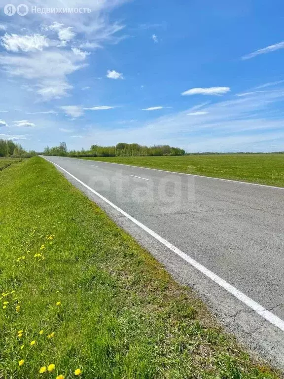 Участок в Тюменский район, деревня Марай (4 м) - Фото 1