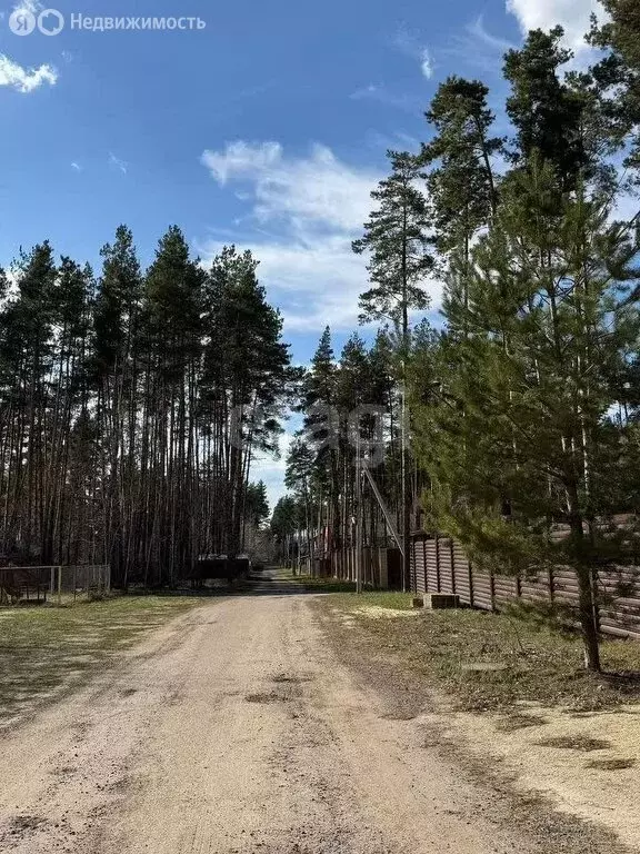 Участок в деревня Богданово, улица Серебряный Бор (11.5 м) - Фото 1
