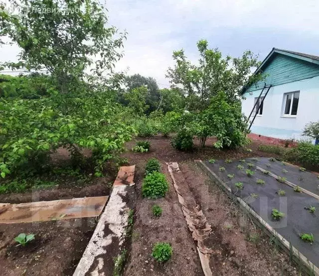 дом в партизанский городской округ, село казанка, центральная улица . - Фото 0