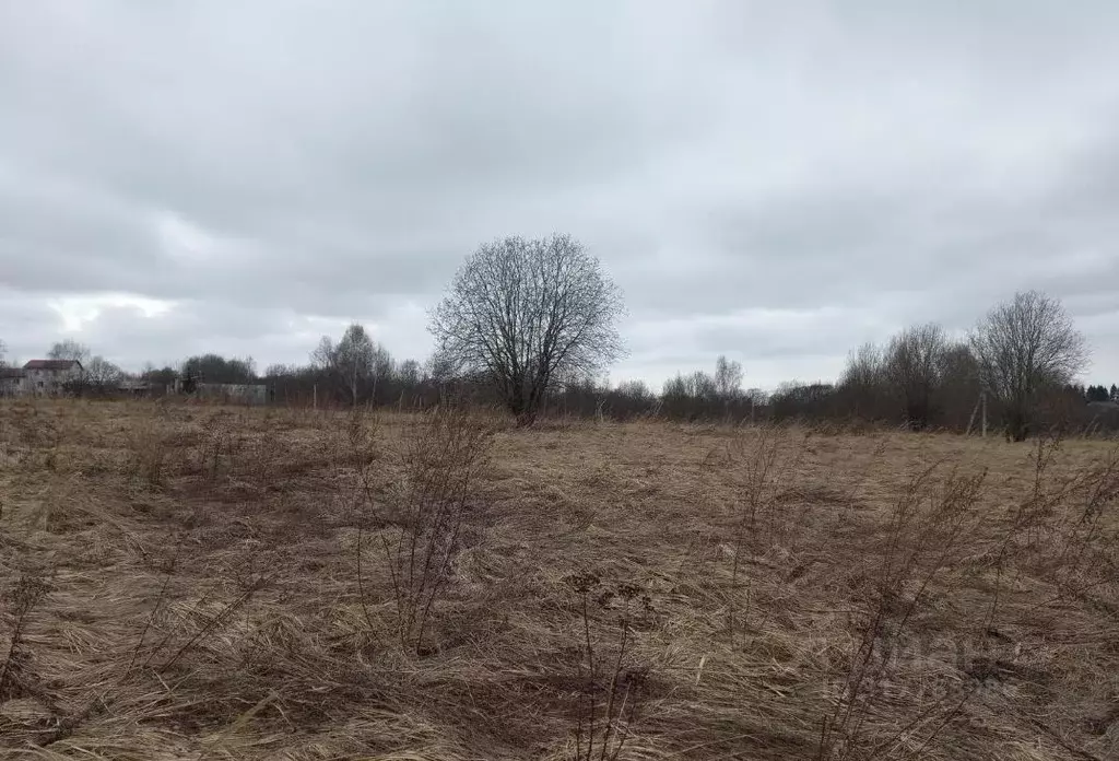 Участок в Московская область, Дмитровский муниципальный округ, д. ... - Фото 0