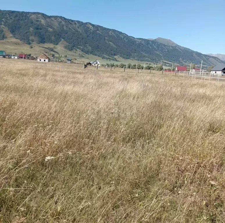 Участок в Алтай, Усть-Коксинский район, с. Усть-Кокса ул. Южная, 59 ... - Фото 0