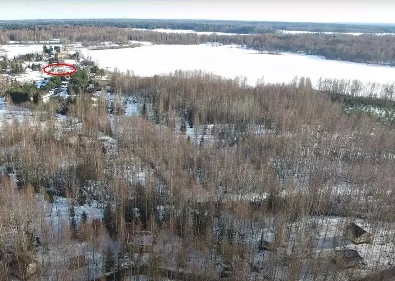 Участок в Новгородская область, Валдайский район, Ивантеевское с/пос, . - Фото 1