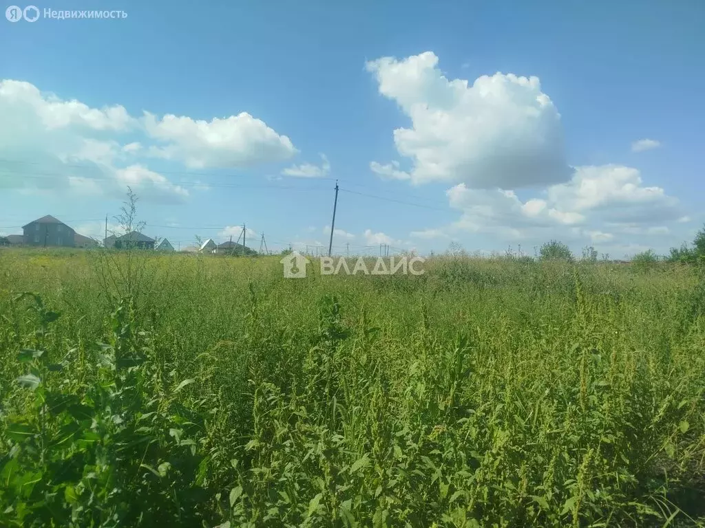 Участок в Бессоновка, улица Большой Колояр, 150 (15 м) - Фото 1