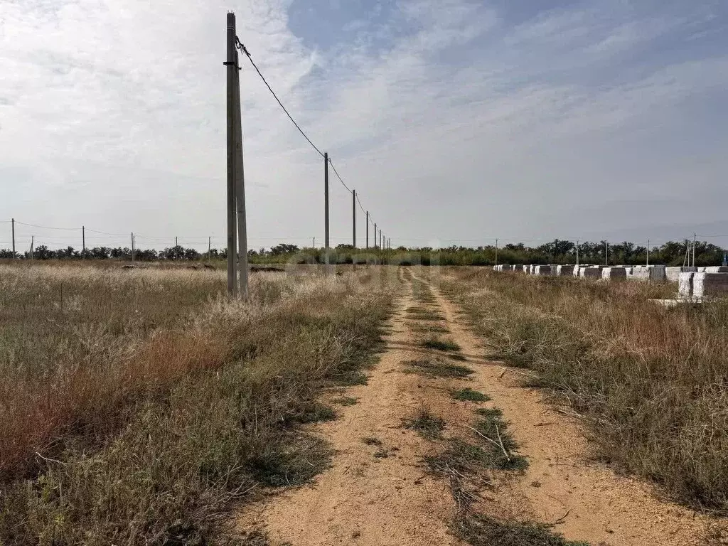 Участок в Ростовская область, Мясниковский район, с. Большие Салы ул. ... - Фото 1