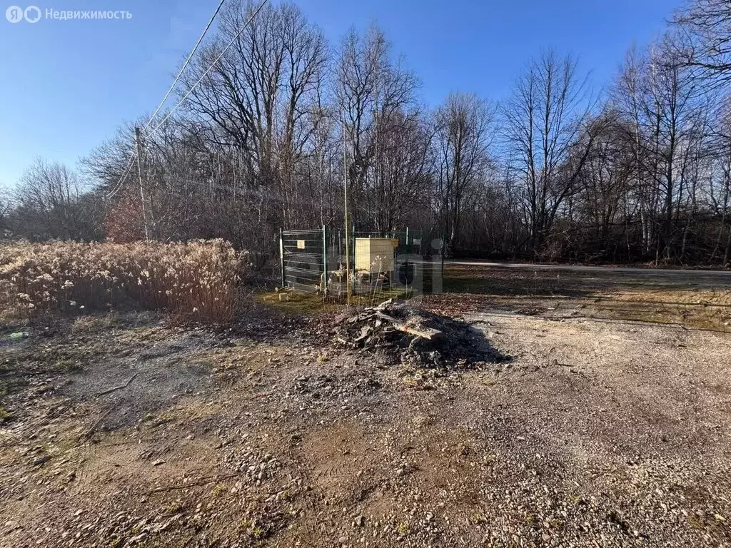 Участок в Светлогорск, Дубовая аллея (6.4 м) - Фото 1