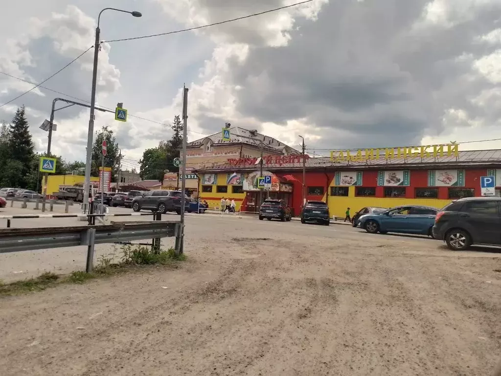 Участок в Московская область, Пушкинский городской округ, с. Ельдигино ... - Фото 2