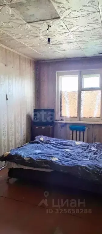 2-к кв. Тверская область, Тверь бул. Цанова, 5 (41.8 м) - Фото 1