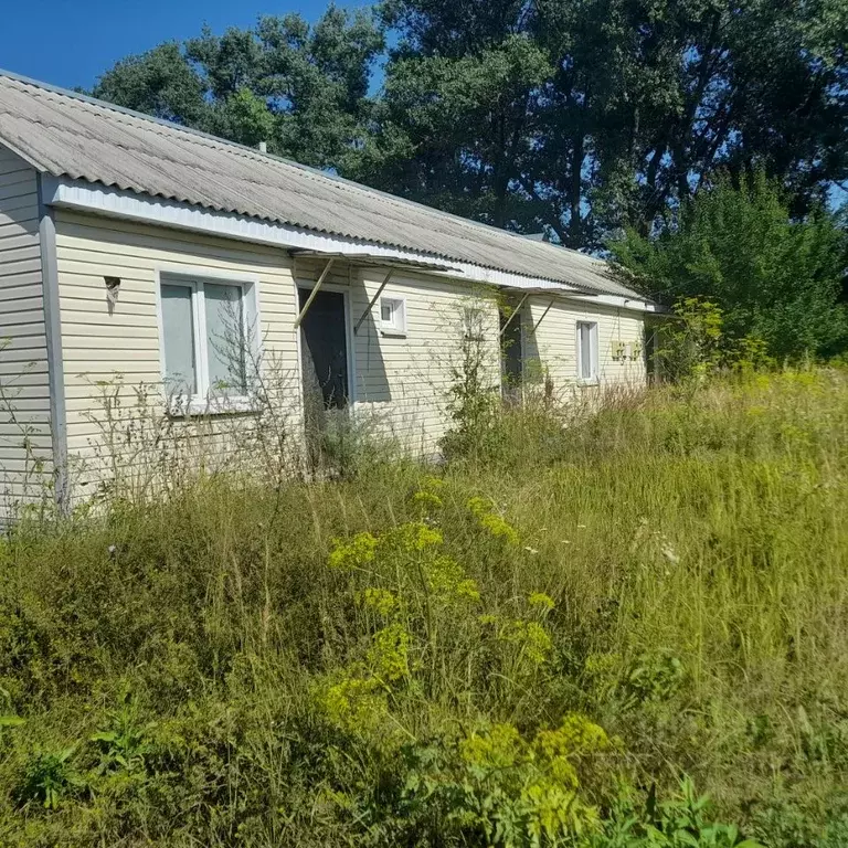 Помещение свободного назначения в Курская область, Льгов ул. А.Г. ... - Фото 1