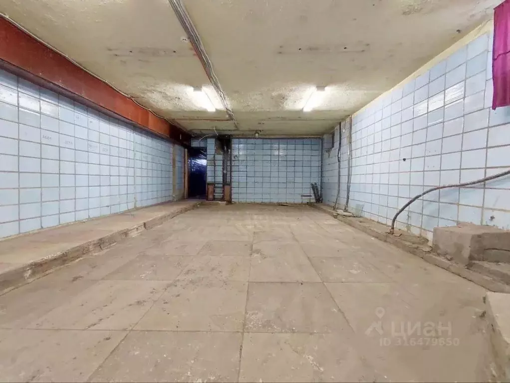 Склад в Саратовская область, Саратов просп. Имени 50 лет Октября, 124 ... - Фото 1