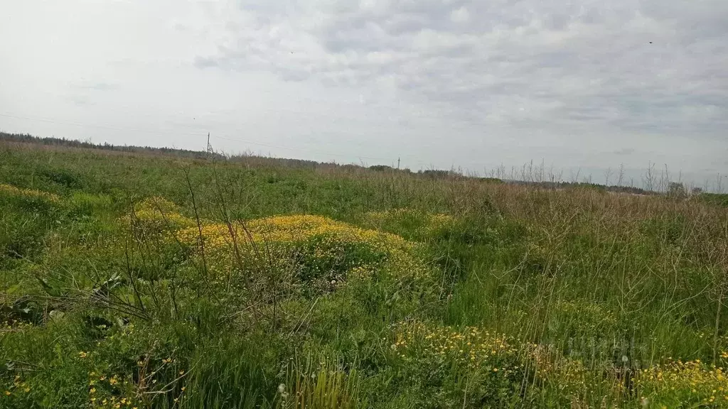 Участок в Московская область, Клин городской округ, д. Тархово  (14.16 ... - Фото 0