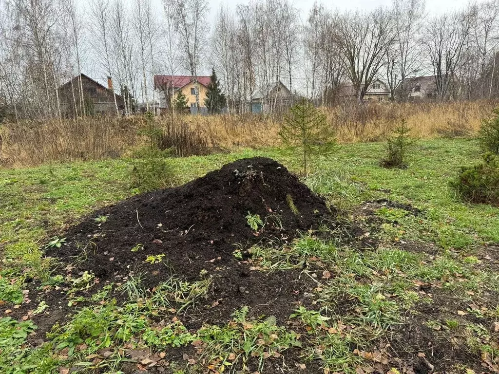 Участок в Московская область, Электроугли Богородский городской округ, ... - Фото 0