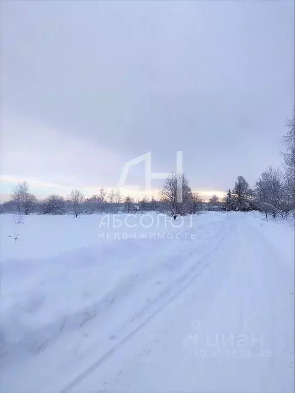 Участок в Московская область, Краснозаводск Сергиево-Посадский район, ... - Фото 1