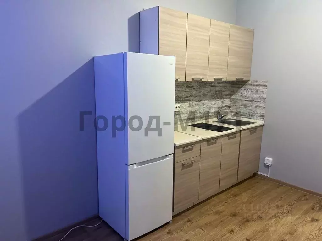 Студия Санкт-Петербург пос. Парголово, проезд Толубеевский, 8к2 (22.2 ... - Фото 2