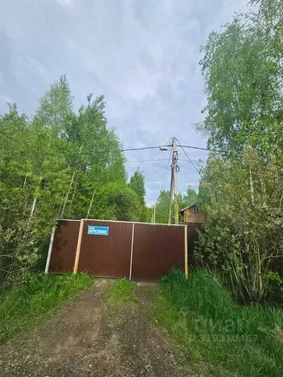 Участок в Калужская область, Боровский муниципальный округ, Совьяки ... - Фото 1