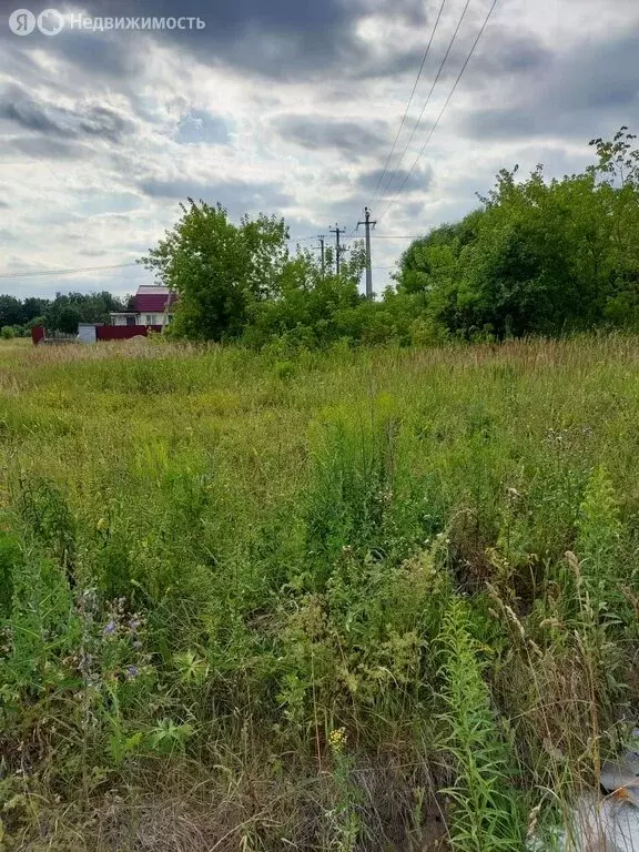 Участок в село Богословское, Южная улица (20.5 м) - Фото 2