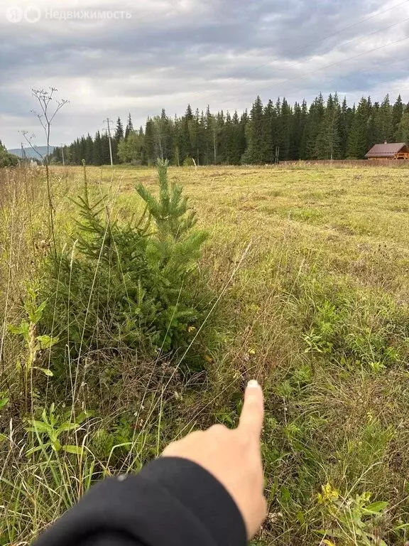 Участок в Берёзовский район, Маганский сельсовет, ДНП Малиновка (12 м) - Фото 0