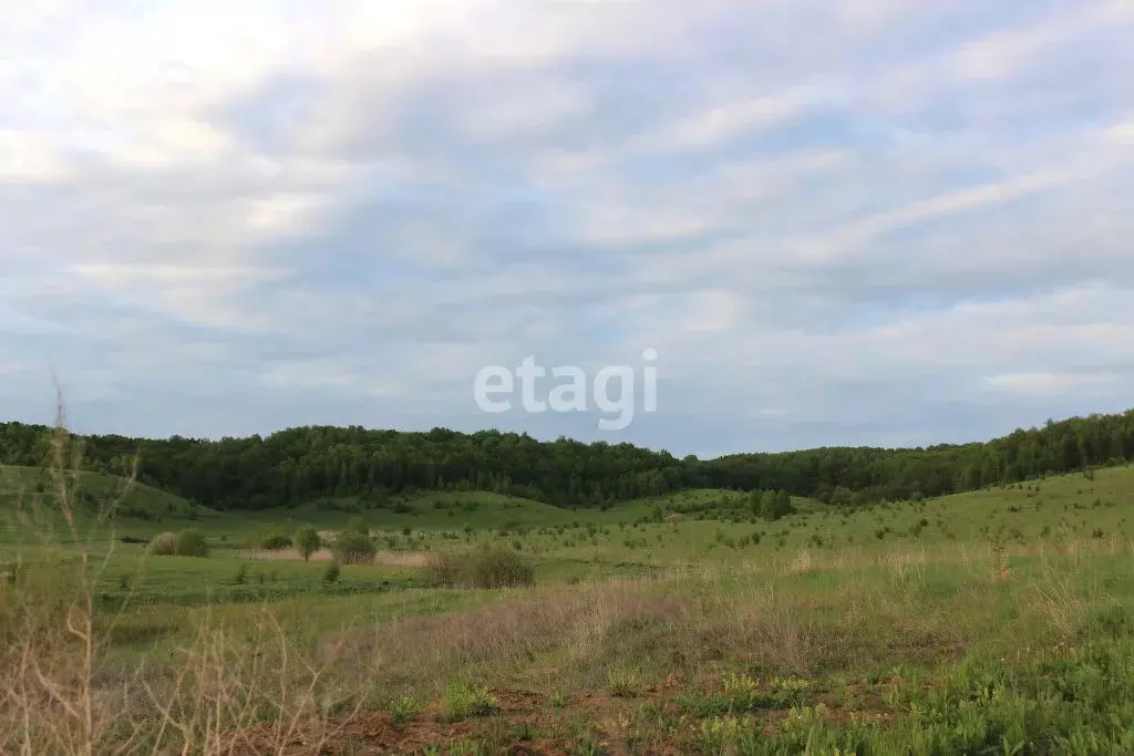 Участок в село Лямбирь, Нижегородская улица (15.86 м) - Фото 0