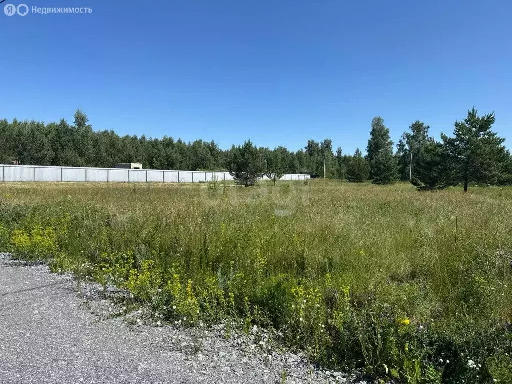 Участок в Искитимский район, село Быстровка (8.68 м) - Фото 1