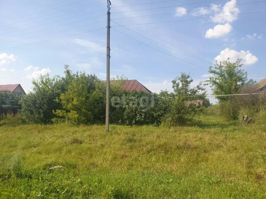 Участок в Мордовия, с. Кочкурово ул. Ленинская, 40 (25.0 сот.) - Фото 1