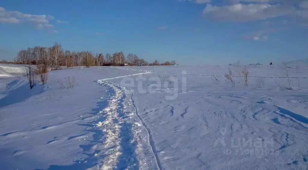 Участок в Кемеровская область, Березовский ул. Фестивальная, 12 (15.0 ... - Фото 1