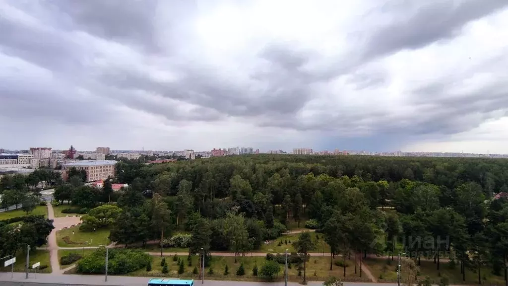 Комната Санкт-Петербург Светлановский просп., 43 (20.0 м) - Фото 1