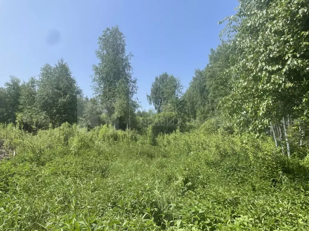 Участок в Тюменская область, Нижнетавдинский район, Геолог-2 СНТ  ... - Фото 0
