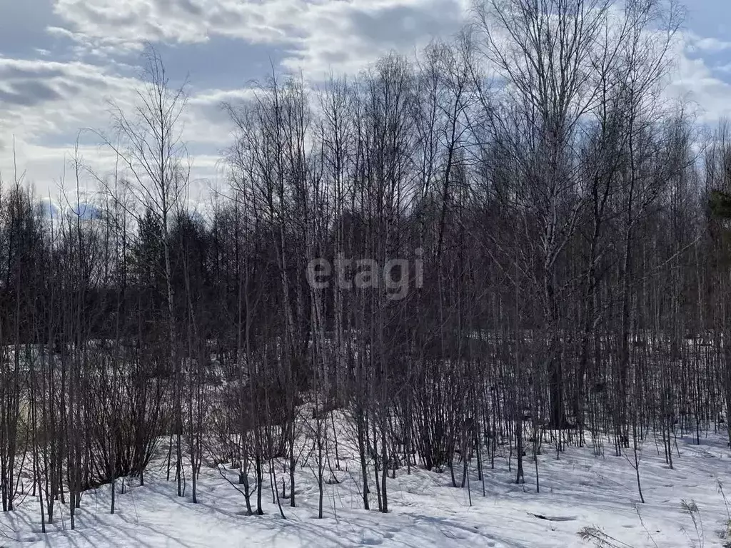 Участок в Нижегородская область, Городецкий муниципальный округ, д. ... - Фото 1