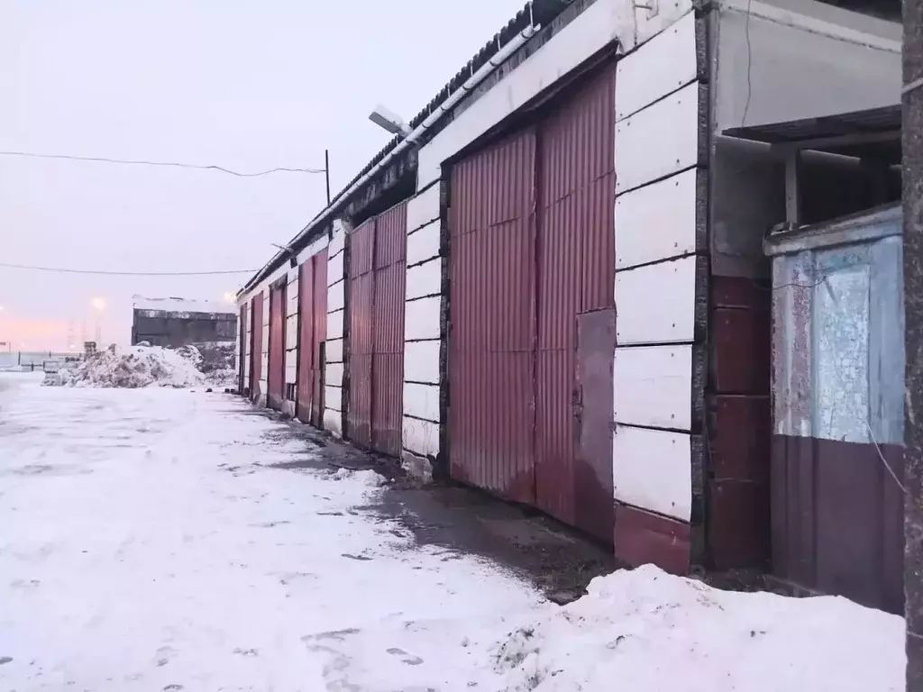 Помещение свободного назначения в Санкт-Петербург пос. Шушары, ... - Фото 1
