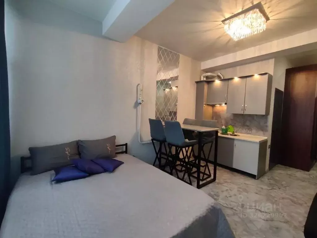 Студия Краснодарский край, Сочи Мамайка мкр, ул. Фадеева, 32/1 (20.0 ... - Фото 1