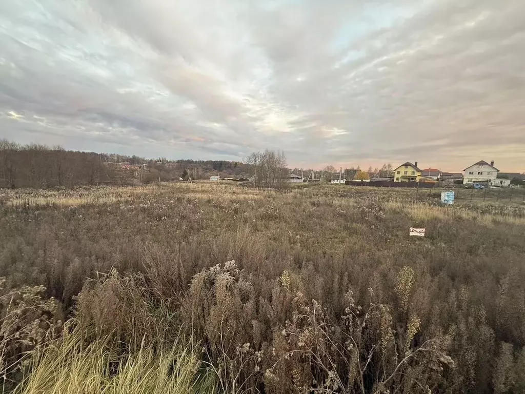Участок в Тульская область, Тула городской округ, с. Архангельское  ... - Фото 2