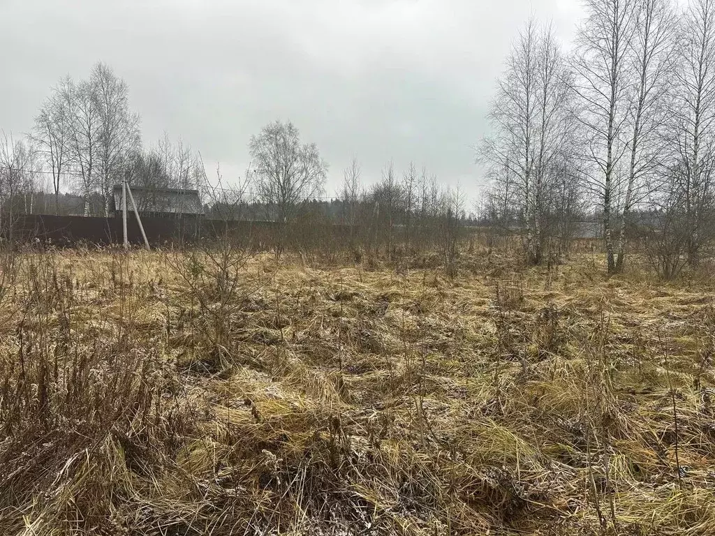 Участок в Московская область, Рузский муниципальный округ, д. ... - Фото 1