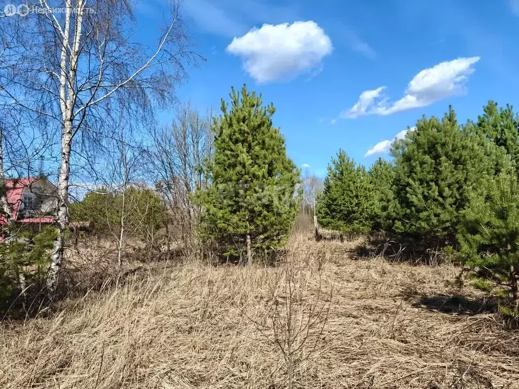 Участок в округ Муром, деревня Афанасово, Владимирская улица (10 м) - Фото 1