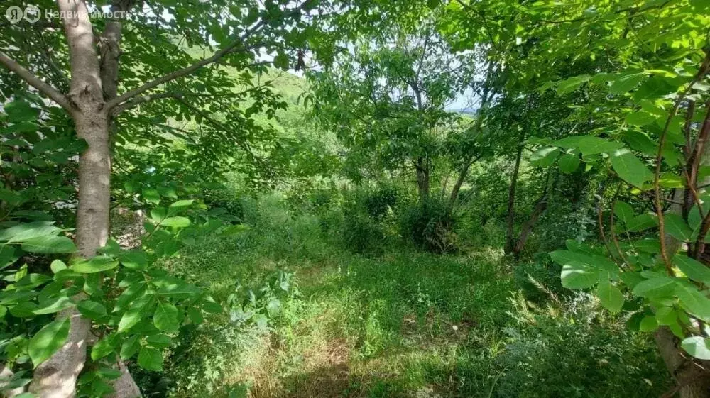 Участок в Кисловодск, улица Чапаева, 112 (4 м) - Фото 1