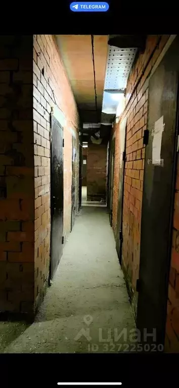 Помещение свободного назначения в Воронежская область, Воронеж ... - Фото 2