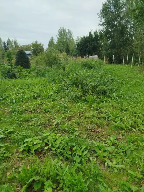 Участок в Московская область, Клин городской округ, д. Иевлево  (5.6 ... - Фото 1