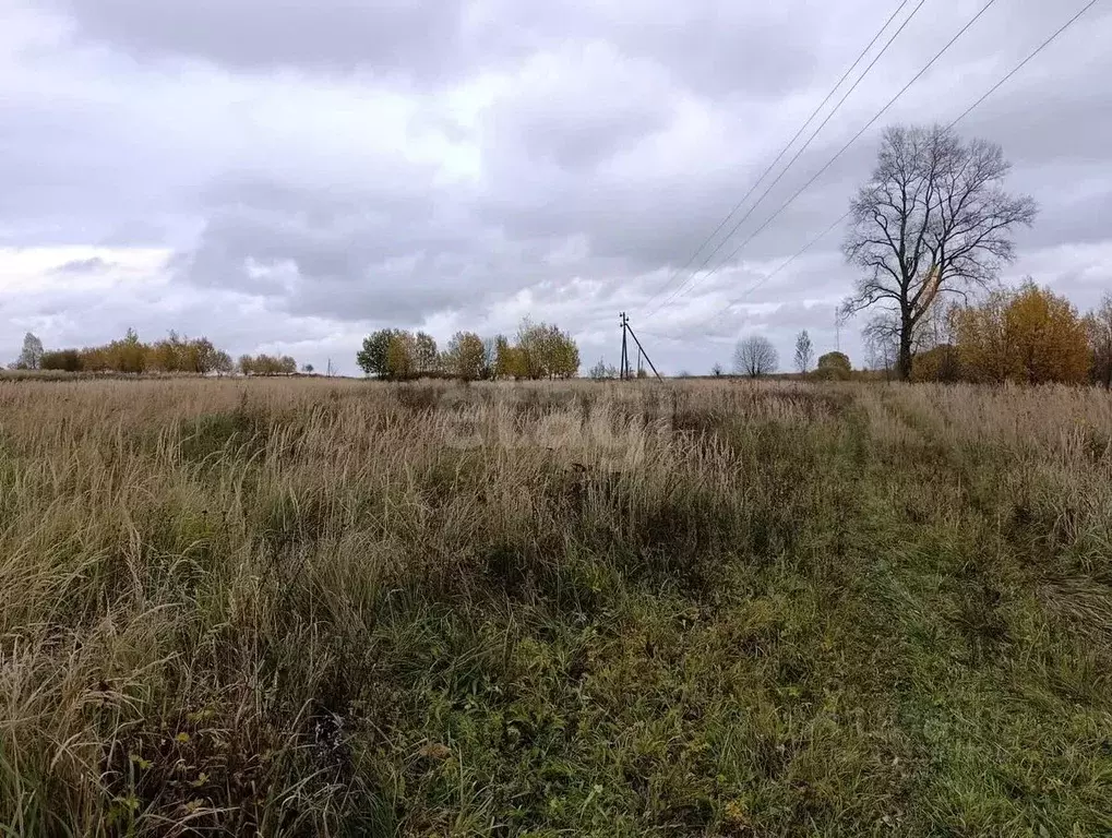 Участок в Калужская область, Боровский муниципальный округ, ... - Фото 1