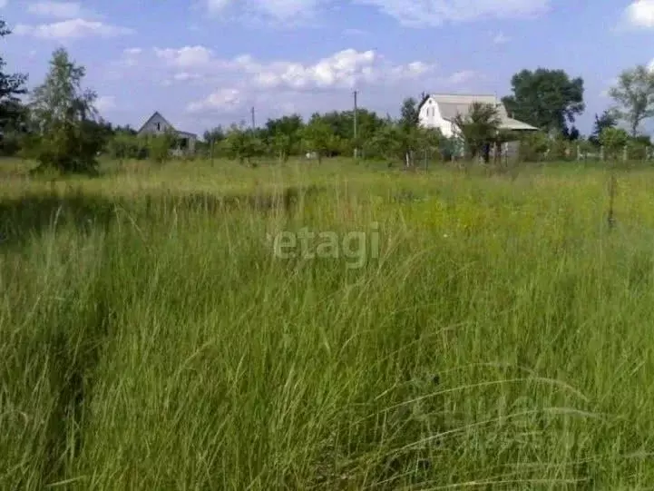 Участок в Башкортостан, Белебеевский район, Усень-Ивановский ... - Фото 1