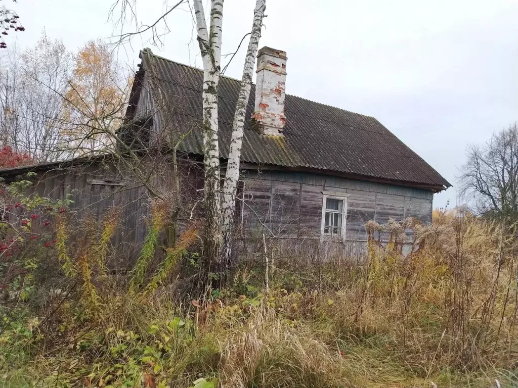 Дом в Брянская область, Жуковский муниципальный округ, с. Овстуг ул. ... - Фото 1