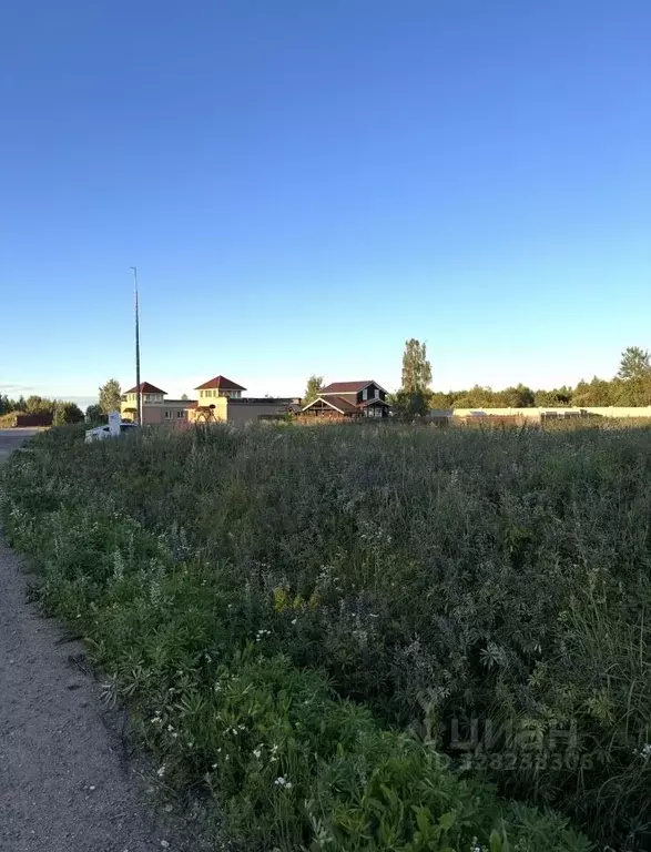 Участок в Московская область, Клин городской округ, Причал кп  (23.18 ... - Фото 1