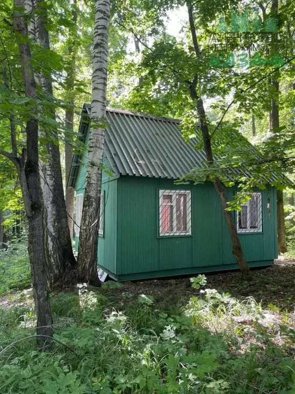 Дом в Татарстан, Лаишевский район, д. Матюшино 67 (29 м) - Фото 2