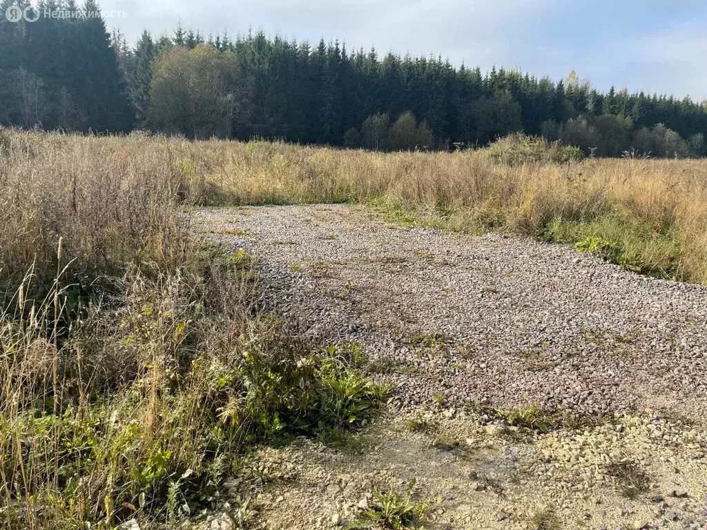 Участок в Гостилицкое сельское поселение (18 м) - Фото 2