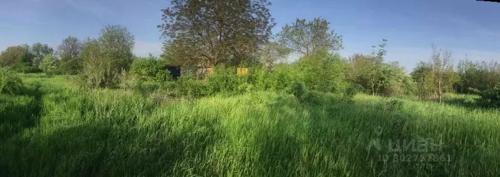 Участок в Ростовская область, Родионово-Несветайский район, ... - Фото 1