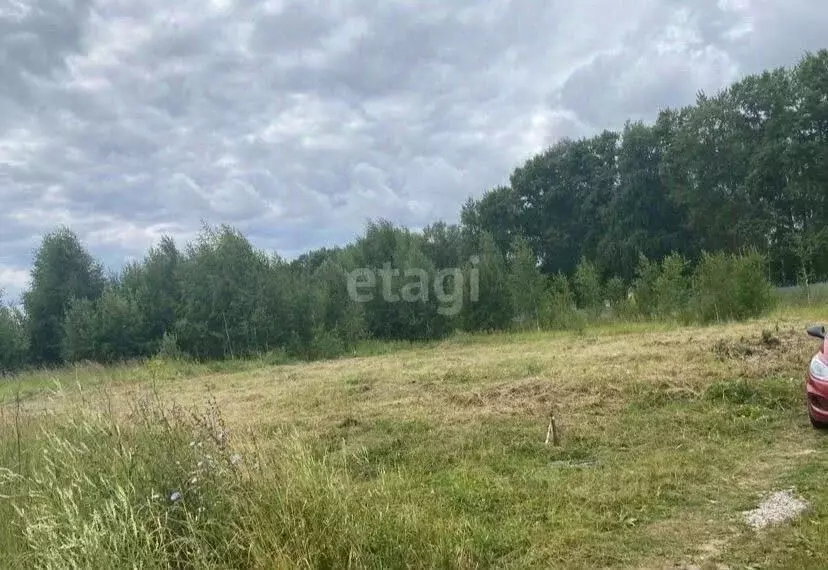 Участок в Марий Эл, Йошкар-Ола городской округ, д. Савино ул. Школьная ... - Фото 1