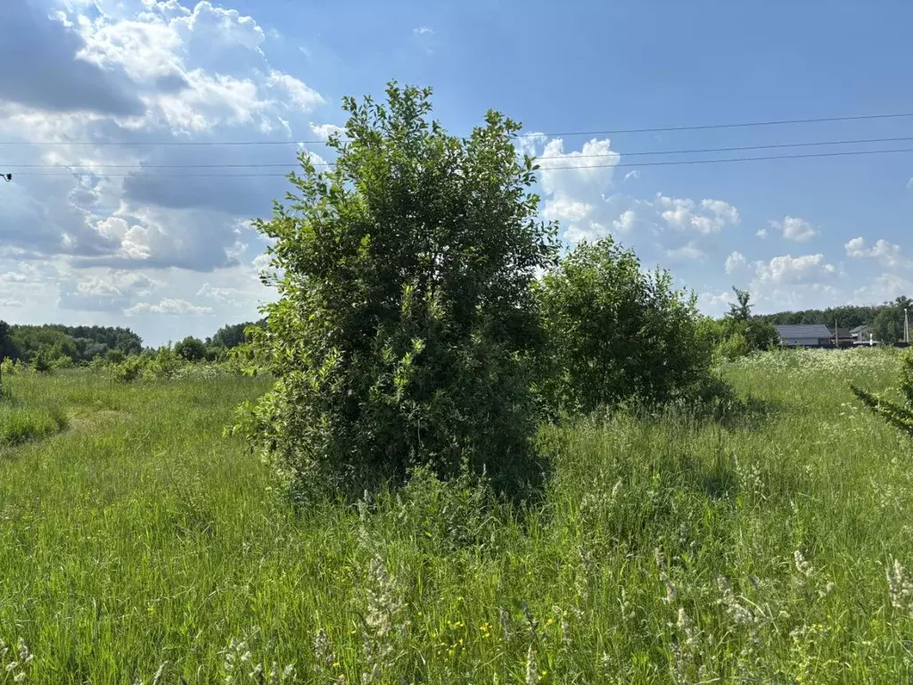 Участок в Московская область, Луховицы  (10.62 сот.) - Фото 2
